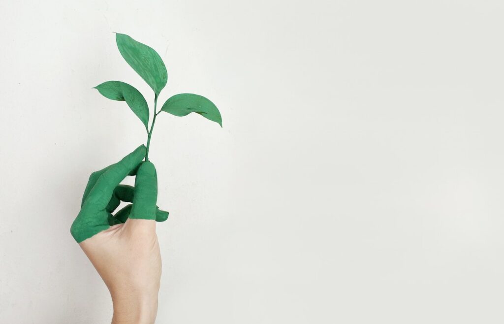 nachhaltig grün Pflanze Sprössling 10 Tipps zur Reduzierung von Plastikmüll im Alltag
