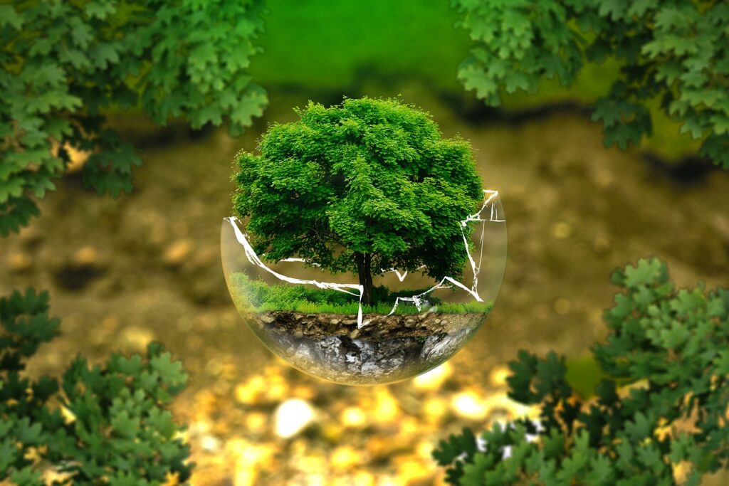 Baum in Glaskugel zerbrechlich Sinnbild Umweltfreundlich werden und Kosten sparen mit einem Solargenerator mit Solarpanel