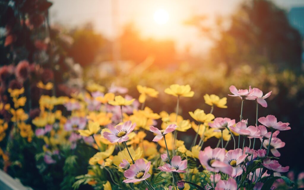 Garten Sonne Blumen bunt Nachhaltige Gartenplanung Tipps für eine ökologische Gestaltung