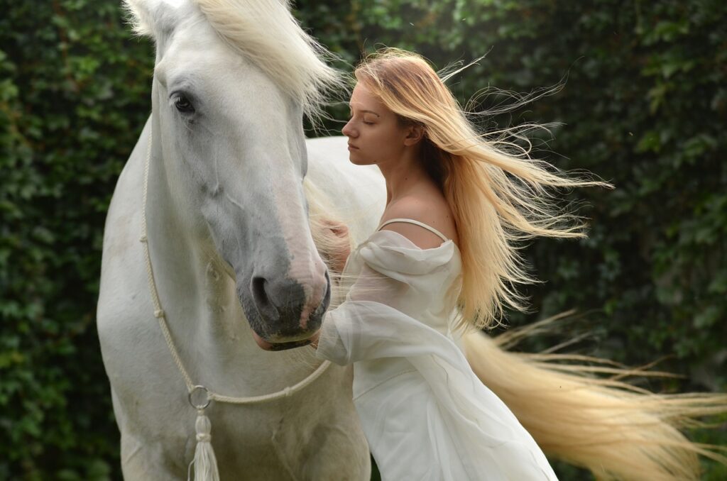 junge Frau und Pferd weiß Schimmel Ich vertraue meinem Pferd nicht Was tun