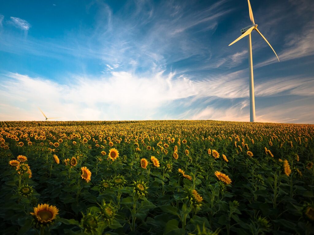 Sonne Wiese Windkraftanlage Nachhaltige Energielösungen können mehr als nur CO₂ einsparen