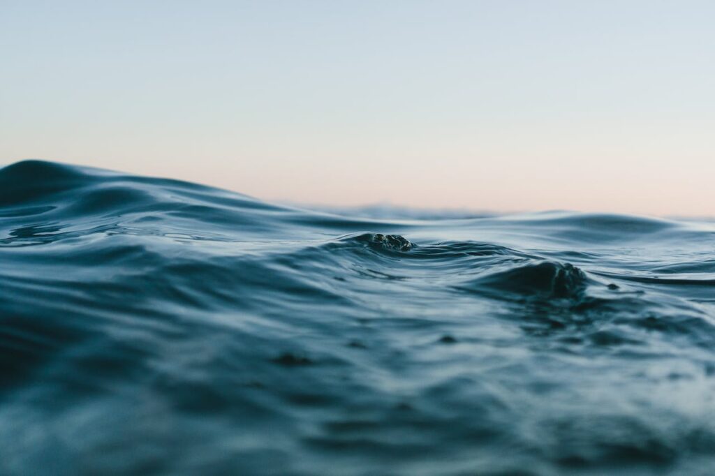 Wasser Wellen Bewegung Wunder des Wassers in Süß und Salz Der Stint
