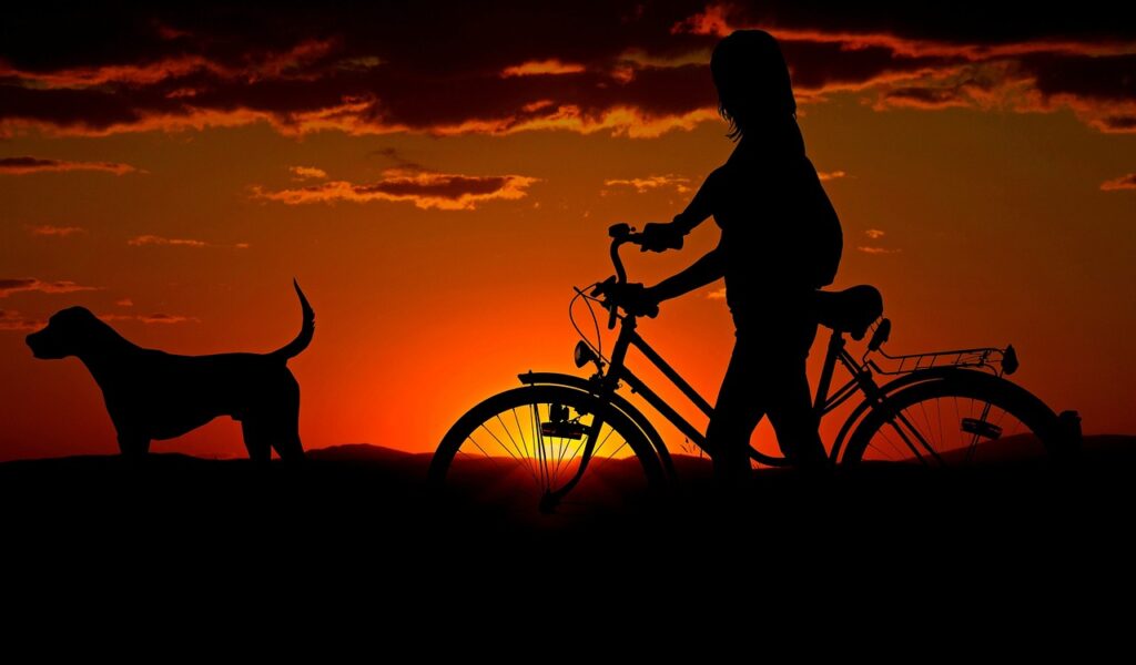 Frau Fahrrad Sonnenuntergang Mit dem E-Bike durch die Stadt Tipps zur Sicherheit