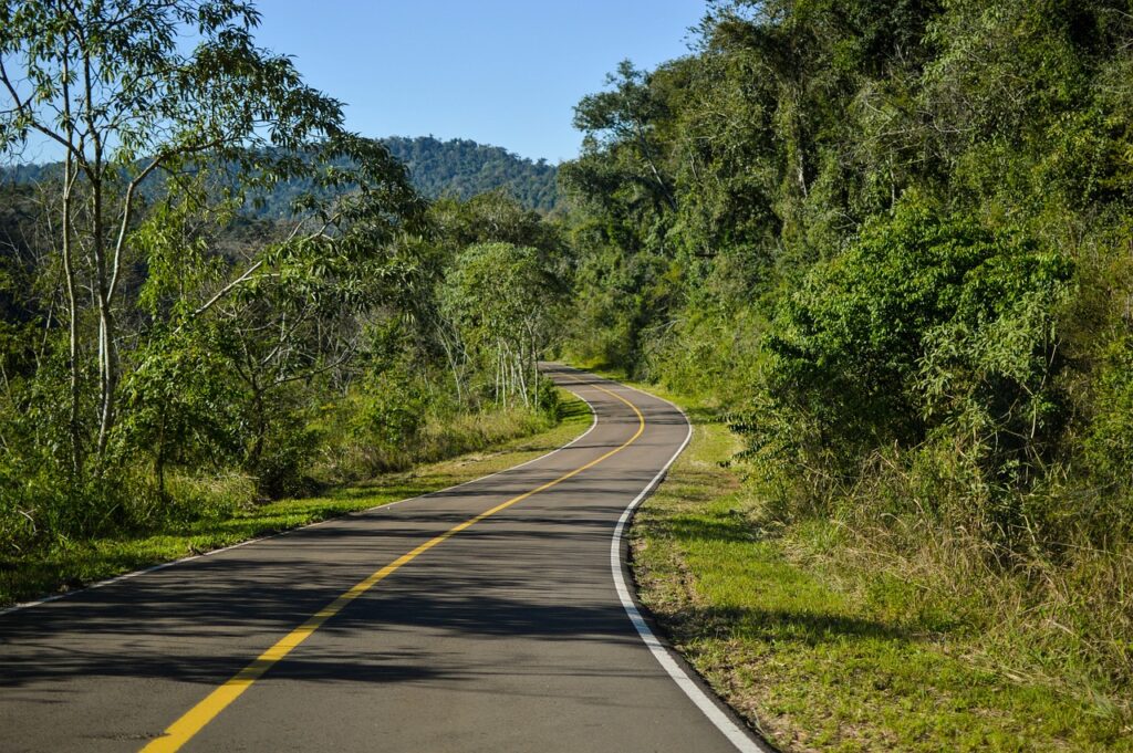 Straße Wald Natur Sonne GPS-Tracker als Wegbereiter für eine nachhaltige Zukunft Das digitale Fahrtenbuch