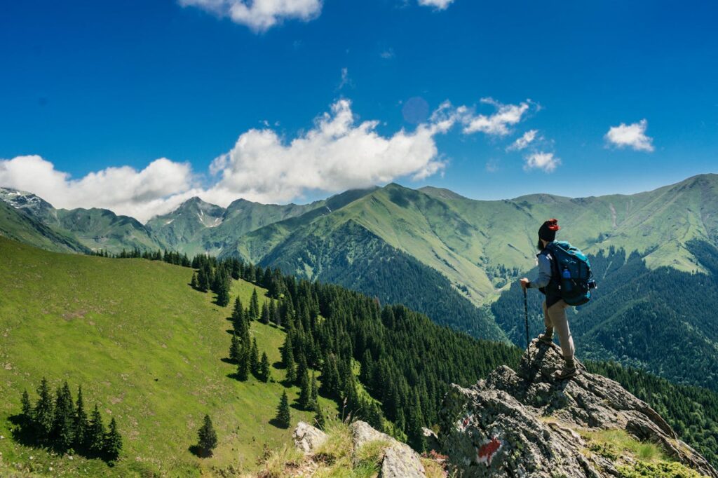 Mann wandern Berg Wald Waldbaden und Wandern kombinieren Tipps und Tricks