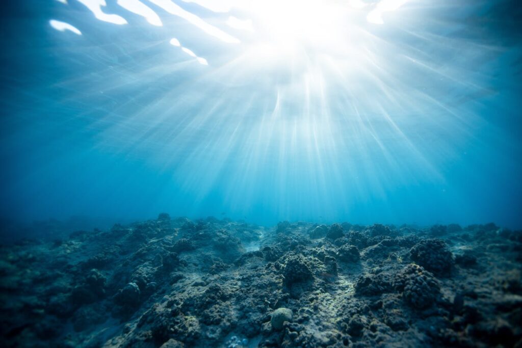 unter Wasser Licht Meer Korallenriffe – die Regenwälder der Meere