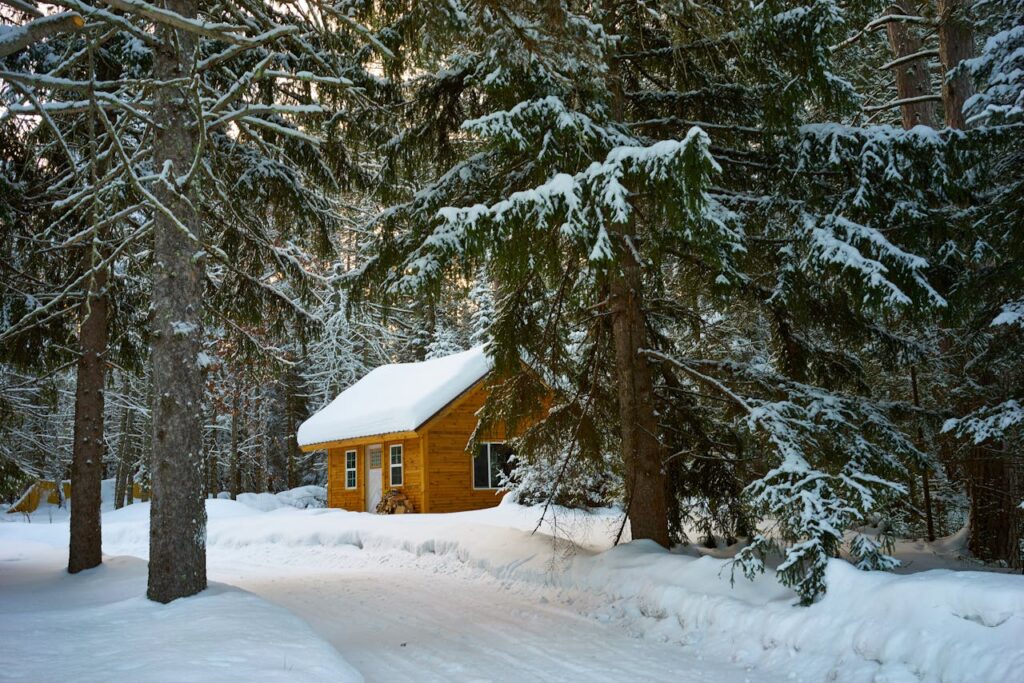 Gartenhaus aus Holz im Winter Schnee Wie nachhaltig sind Gartenhäuser aus Holz
